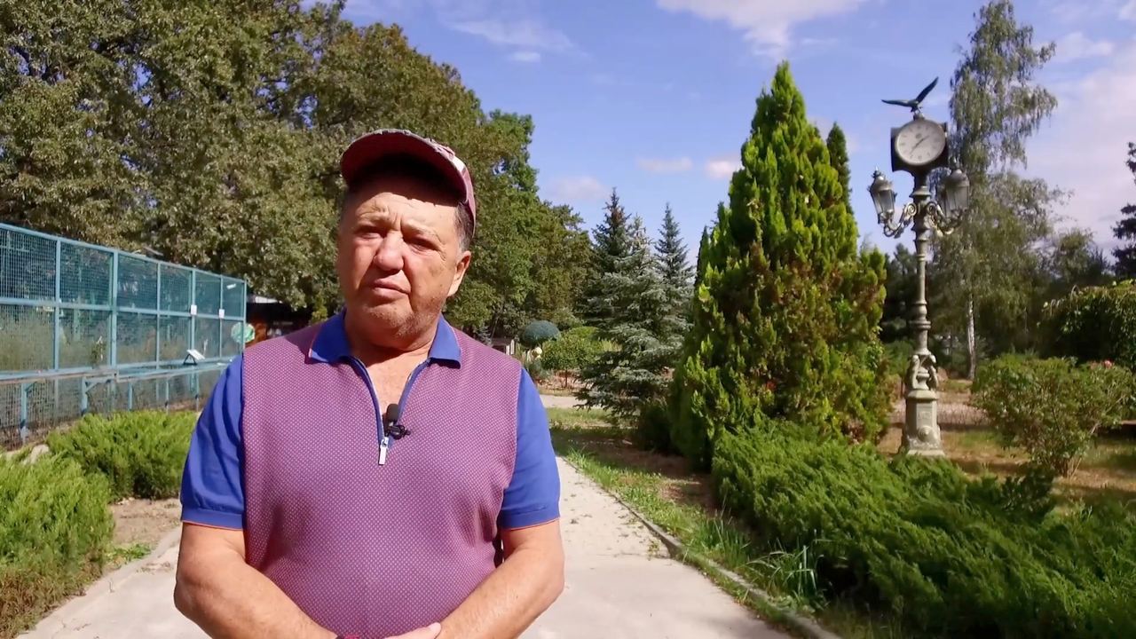 Постер видео